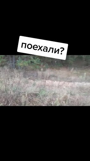 Поиск кладов в Беларуси: Приключения с металлоискателем