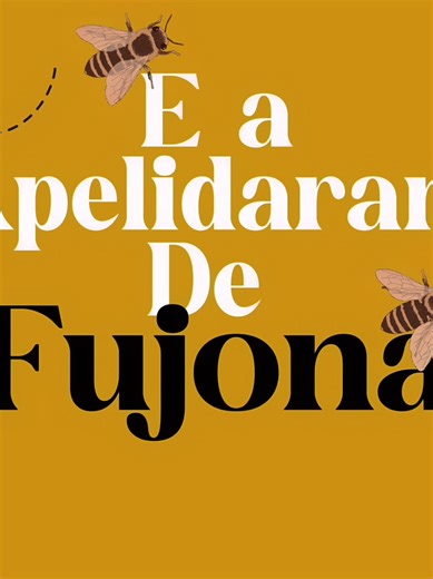 Taylor Swift's The Bolter: Meaning and Lyrics Explained