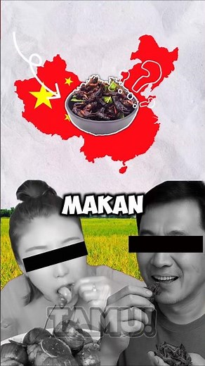 Why Do Chinese People Eat Anything?