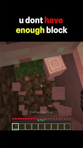 Every Minecraft Player Does This