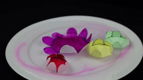 11 fun & easy science experiments you can do at home!