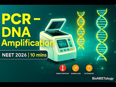 Polymerase Chain Reaction (PCR) | Principle, Steps & Applications | NEET Class 12 Biotechnology