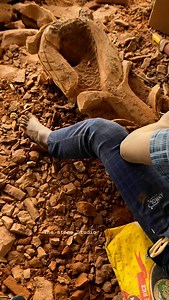 Transform your spaces with handcrafted stone statues from The Stone Studio! Each piece is meticulously carved by skilled artisans, blending timeless craftsmanship with modern aesthetics. Perfect for homes, gardens, temples, and more! 🪨 Why Choose Us? - 100% Hand-carved Masterpieces - Premium Quality Stone - Global Shipping with Door Delivery Elevate your décor with art that lasts a lifetime. 🌐 Explore our collection: www.thestonestudio.in #HandcarvedStoneStatues #TheStoneStudio #StoneSculpture