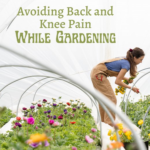 10 Tips for Reducing Knee and Back Pain While Gardening