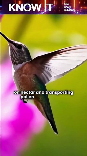 How Are Flowers Pollinated?