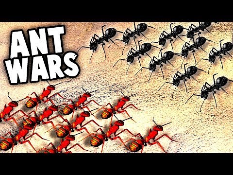 RED ANTS vs BLACK ANTS! HUGE Ant Surface INVASION (Empires of the Undergrowth Part 2 Gameplay)