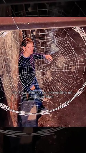 #movie #films #tiktok #fyp | Spider Man Movie