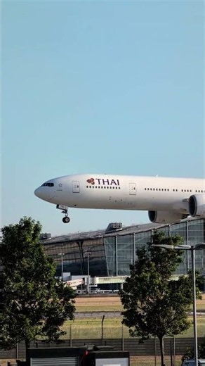 The Thai Airways triple seven ✈️