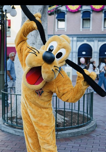Pluto's Paw-fect Signature on My Camera Lens