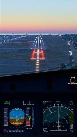 Sunset A320 Landing at LAX 🇺🇸 ToLiss X-Plane 12 #flightsimulator