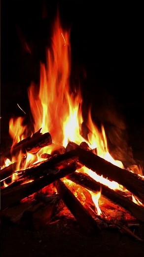 4K Forest Campfire & Night Crickets Ambience