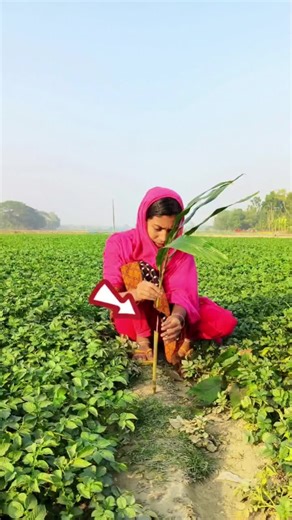 Hilarious Comedy Reels Compilation for Laughter