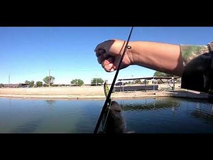 Ascarate lake el paso Texas bass fishing