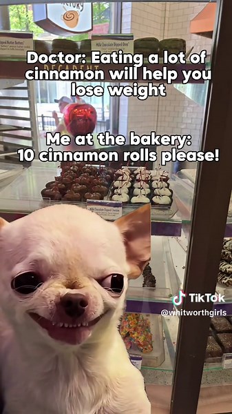 Funny Weight Loss Memes to Lighten Your Journey