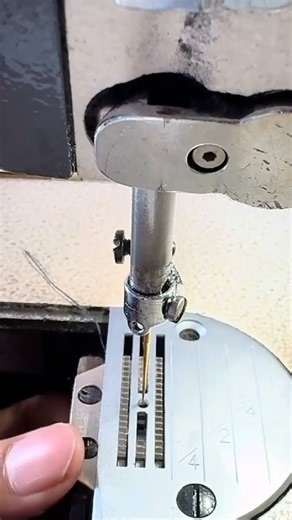 Sewing machine shuttle timing adjustment