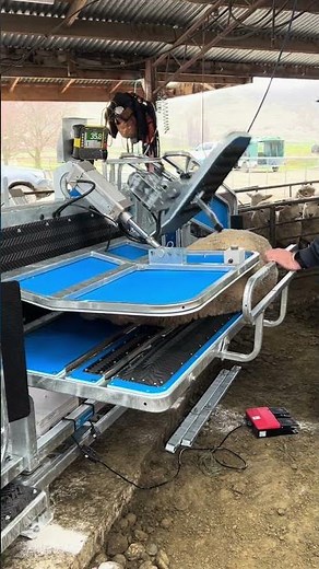 Te Pari | Racewell HD6 Sheep Handler