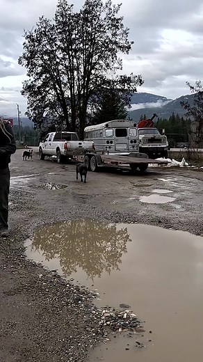 57K views · 1.1K reactions | Do you know what GOAT means?? #rustbros #rustvalleyrestorers #wildmangarage #mudscout | Rust Bros Restorations | Facebook