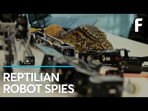 Robotic Reptiles Move and Look Just Like the Real Thing