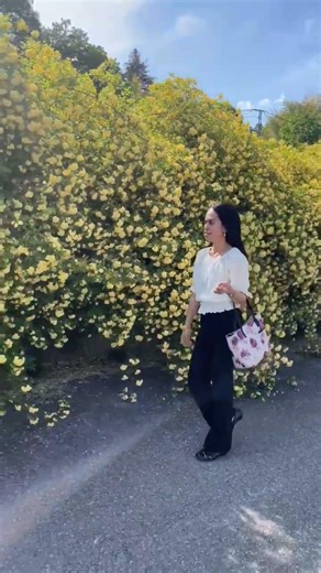 Exploring the Japanese countryside #goldenweek