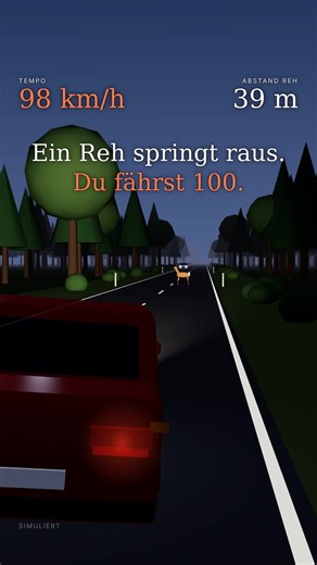 Reh springt aufs Auto zu – Ausweichen oder Bremsen?