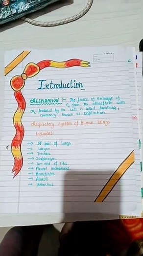 biology project file of class 11 😍🤯