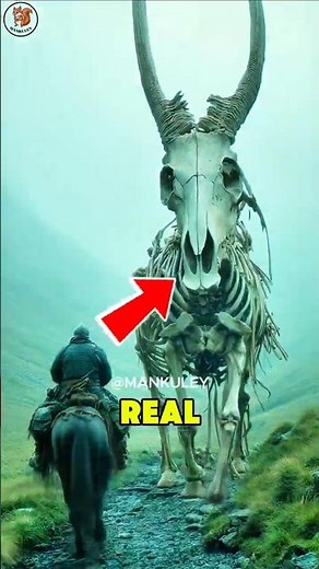 Top 5 Real-Life Dinosaurs That STILL Exist.🤯#dinosaurs #animals #facts