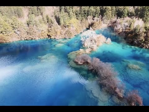 【Live China】The Magnificent Scenery of Jiuzhaigou Valley National Park