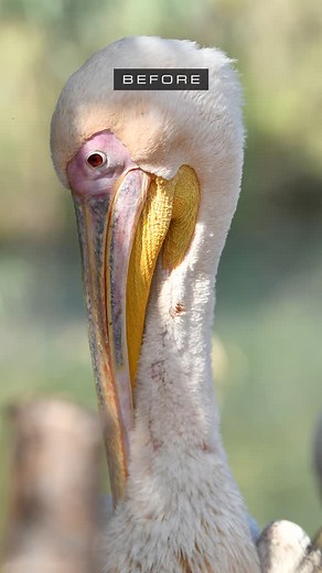 11K views · 6.5K reactions | Photo Editing Tips ↓ • Shoot & Edit ✍...