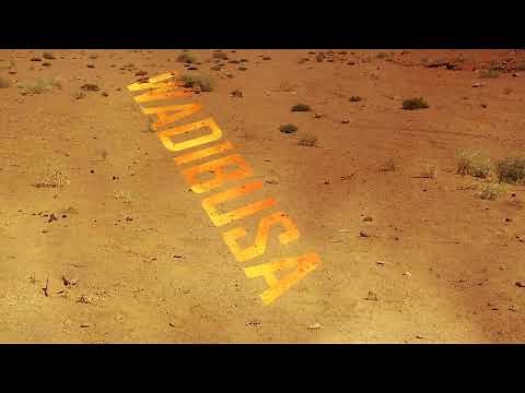 Uncle Waffles & Royal Musiq - Wadibusa ft. Ohp Sage & Pcee (Official Visualizer)