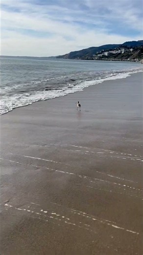 California, Will Rogers Beach #california #beach #birdwatching #walking