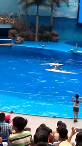 2012-10-17 17:41 搜狐网友27889109上传