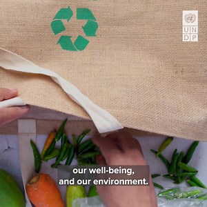 17K views · 288 reactions | Plastic pollution affects our  & human health. Waste pickers are on the frontline risking their lives to keep our environment clean. This #WorldEnvironmentDay, see how Safai Saathis, who form the backbone of  waste management system are helping to #BeatPlasticPollution. | United Nations Development Programme - UNDP | Facebook