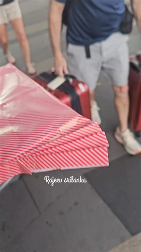 Explore the Wonders of Sri Lanka with River Sky Tours