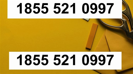 Complete U.S. User Guide to ZONEALARM Support Options (2025)