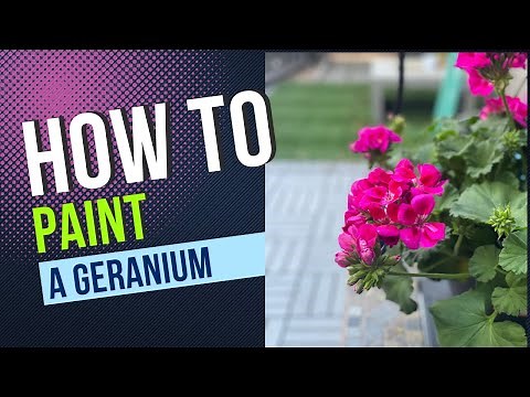 How to Paint a geranium