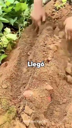 Reddit Complete Stories Part 2