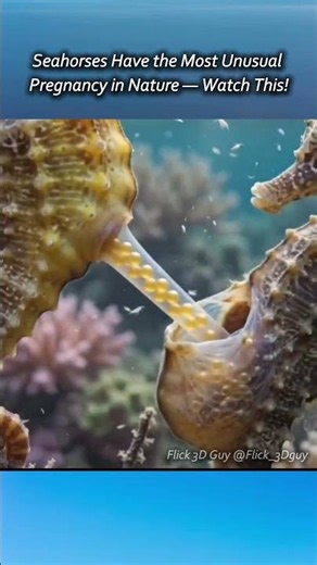 🐠 This is How Female Seahorses Transfer Eggs to the Male! 😱🌊