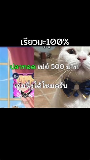 ผมไม่มีทางเล่น #rov #rovเป็นเกมตลก #เรียวมะ #เรียวมะเม็ดส้ม #rovhighlight