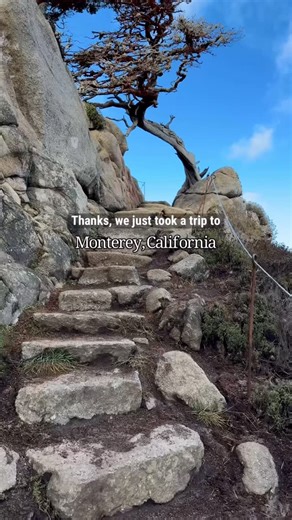 Matt and Karen Smith on Instagram: "We just spent a few days exploring the beautiful, historic city of Monterey, CA, located about two hours south of San Francisco, and it was one of our favorite getaways to date. Here are some of the highlights: Point Lobos State Natural Reserve: called “The crown jewel of the California State Park System,” it has one of the richest underwater habitats in the world, where you might spot seals, sea lions, sea otters and migrating gray whales (from December-May).