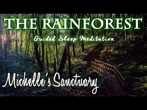 THE RAINFOREST: Sleep Story and Meditation for Adults: (coqui frog, rain, thunder Sounds)
