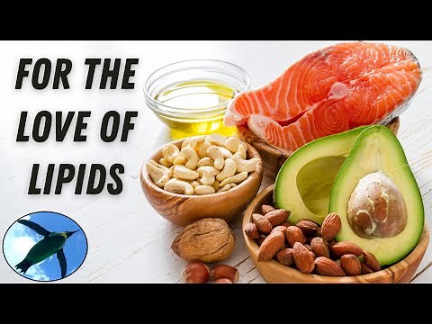 Macromolecules: LIPIDS | Bio Basics 🐧