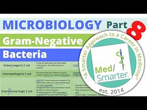 Gram Negative Bacteria | Microbiology | USMLE STEP 1 Pt 8