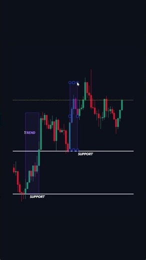The Best Forex Trading Tips for Beginners