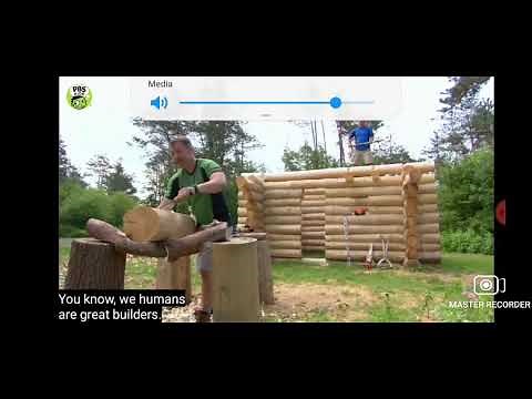 Wild Kratts Episode: Build it beaver 1/3 (2021 incap)