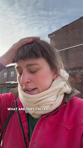 You can’t tell me internet roomba isn’t a good idea | roomba