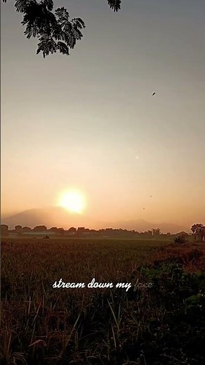 Creed - With Arms Wide Open #lyrics #lyricvideo