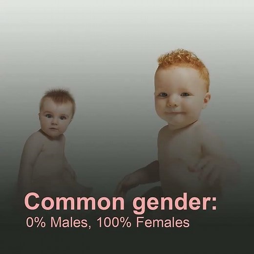 Neil Baby Name Meaning, Origin and Popularity, by SleeplessParent.com