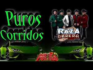 puros corridos ✴️ la raza obrera 💥puros corridazos ✴️✴️