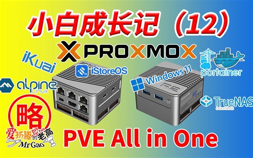 【小白成长记12】PVE All in one AIO iKuai iStoreOS LXC Alpine Docker TrueNAS Wins11核显直通