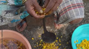 Top view of a woman farmer's hand cutting turmeric root into thin equally sized slices